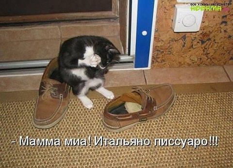 [Зображення: attachment.php?attachmentid=231578&a...1354200975]