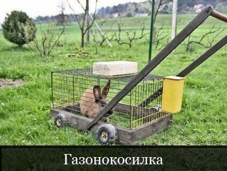 Посмеялся сам - поделись с другом!!!