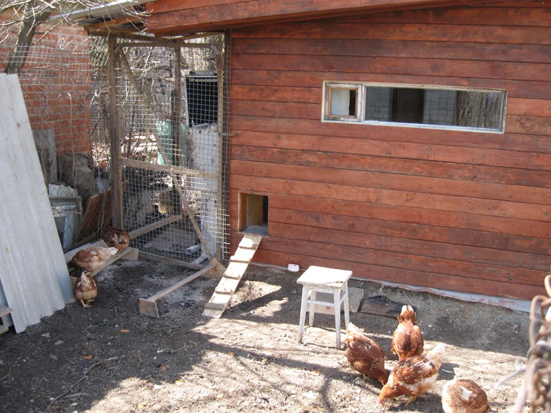 attachment.php?attachmentid=102631&d=1301923654