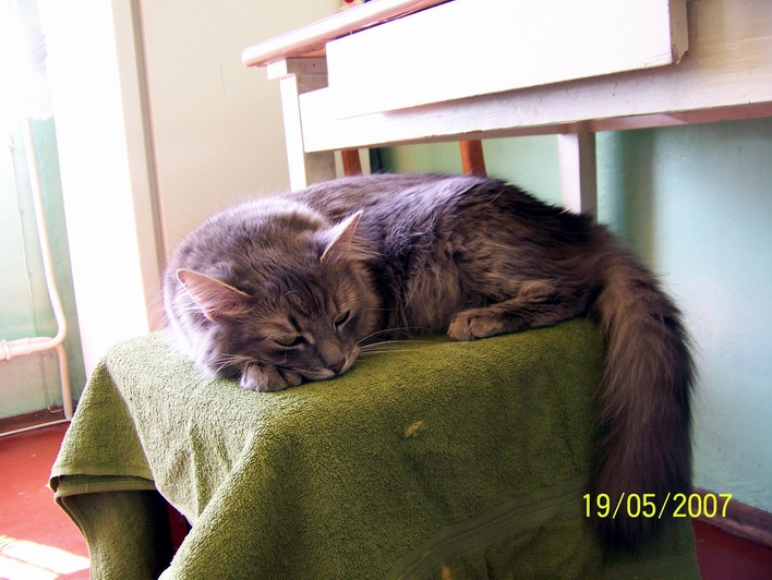 attachment.php?attachmentid=10752&stc=1&d=1226057044