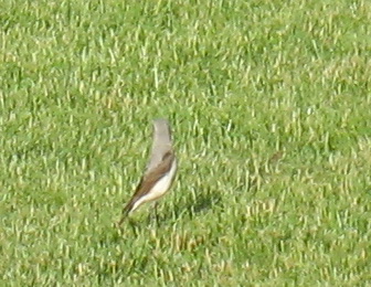 attachment.php?attachmentid=114386&stc=1&d=1307103649