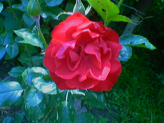 attachment.php?attachmentid=121522&d=1310419942