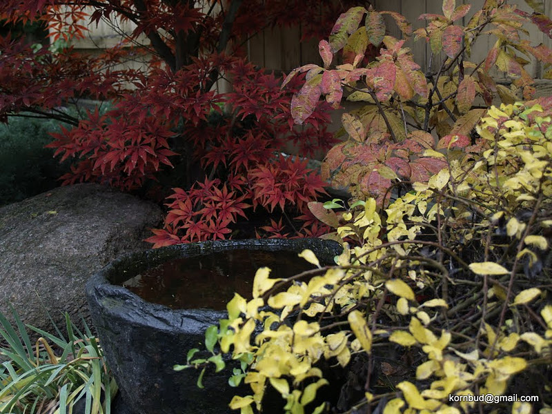 attachment.php?attachmentid=147334&d=1321996854