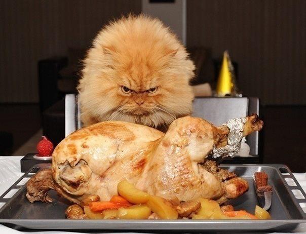 attachment.php?attachmentid=152146&stc=1&d=1324123212