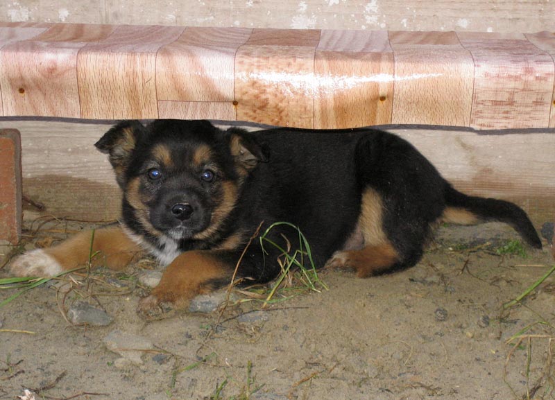 attachment.php?attachmentid=156409&d=1326442720