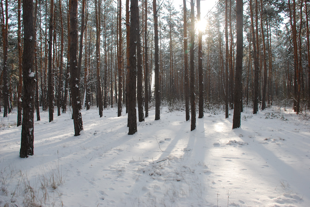 attachment.php?attachmentid=157150&d=1326802781