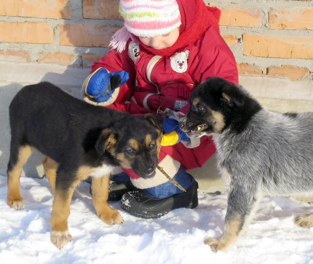 attachment.php?attachmentid=160272&d=1327854454