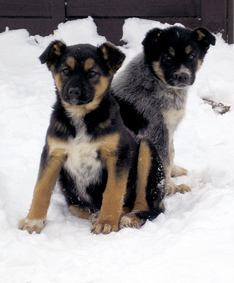 attachment.php?attachmentid=162777&d=1328693649