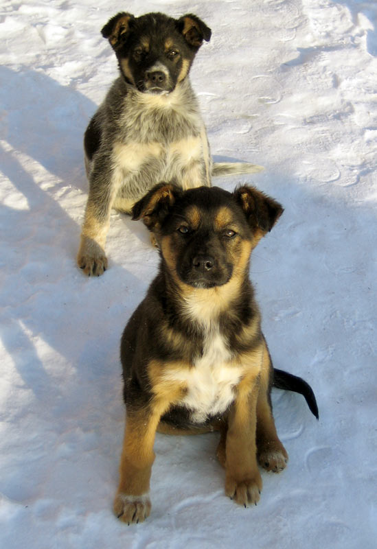 attachment.php?attachmentid=164502&d=1329202040