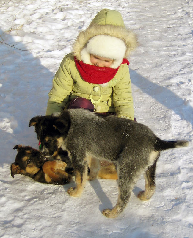 attachment.php?attachmentid=164503&d=1329202663