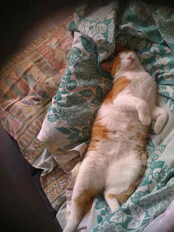 attachment.php?attachmentid=165899&stc=1&d=1329751893