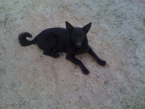 attachment.php?attachmentid=165907&stc=1&d=1329752523