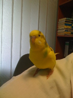 attachment.php?attachmentid=165912&stc=1&d=1329753003