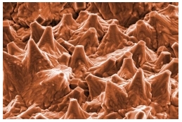 attachment.php?attachmentid=172703&stc=1&d=1331985856