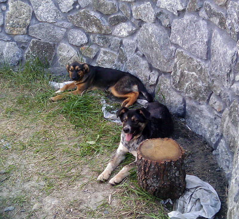 attachment.php?attachmentid=182845&d=1335536178