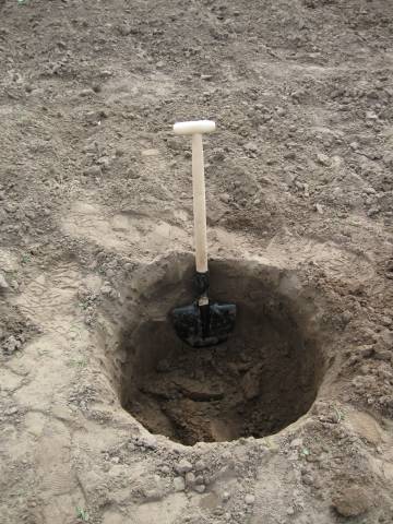 attachment.php?attachmentid=188078&stc=1&d=1337525887