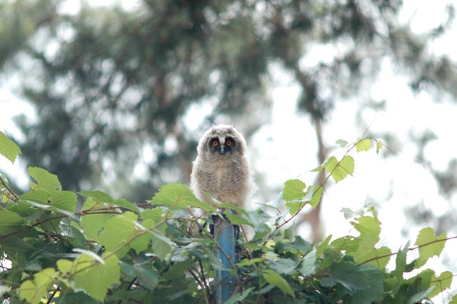 attachment.php?attachmentid=192553&d=1339100410