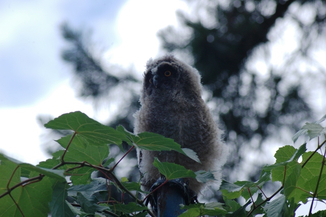 attachment.php?attachmentid=192554&d=1339100444