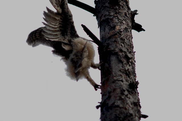 attachment.php?attachmentid=192555&d=1339100477