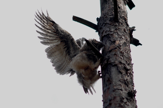 attachment.php?attachmentid=192556&d=1339100502