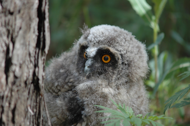 attachment.php?attachmentid=192558&d=1339100577