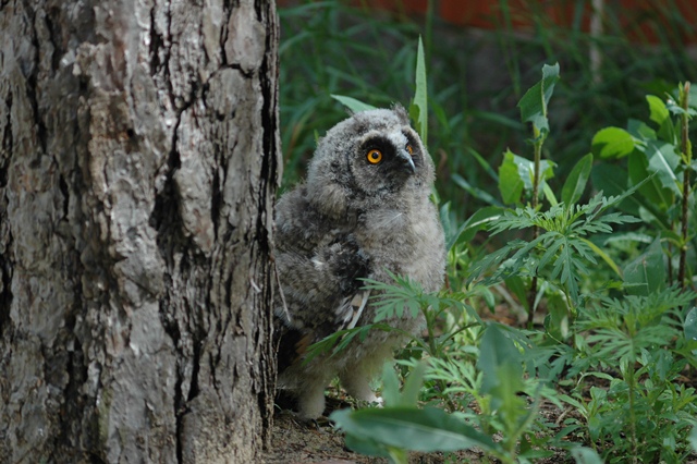 attachment.php?attachmentid=192559&d=1339100614