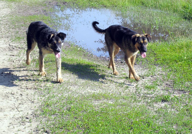 attachment.php?attachmentid=192756&d=1339224927