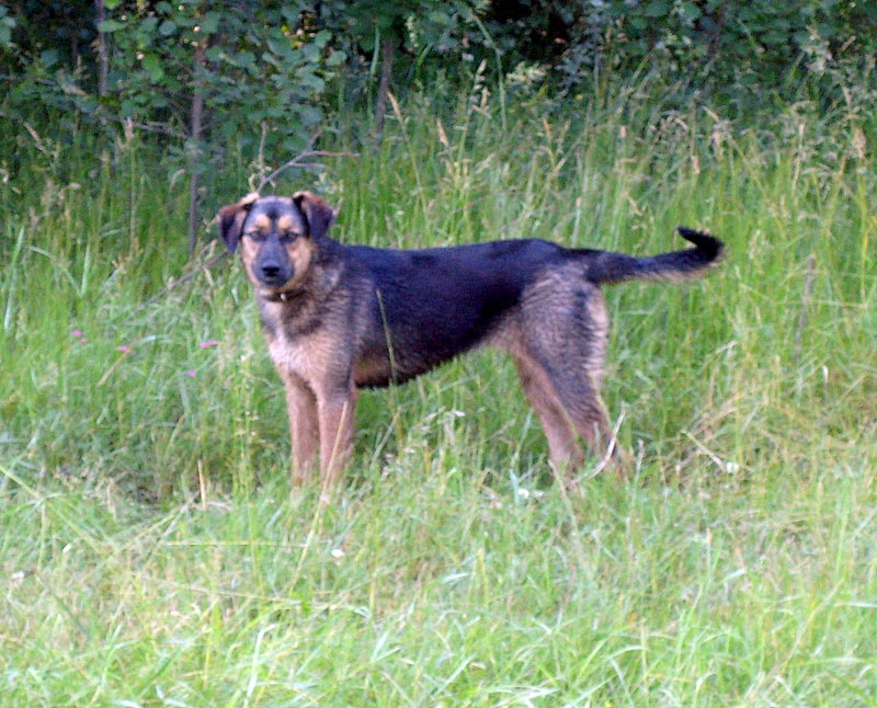 attachment.php?attachmentid=192757&d=1339224933