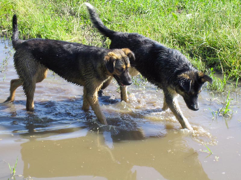 attachment.php?attachmentid=192758&d=1339224939