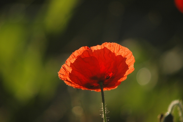 attachment.php?attachmentid=194223&d=1339748795