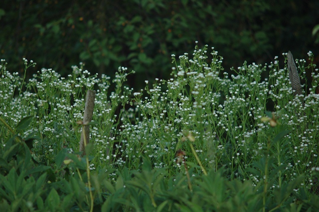 attachment.php?attachmentid=194228&d=1339749642