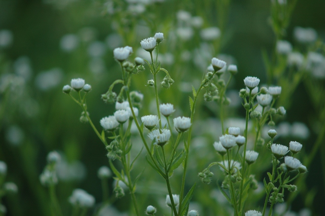 attachment.php?attachmentid=194229&d=1339749678