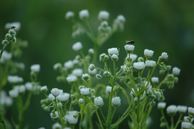 attachment.php?attachmentid=194230&d=1339749716