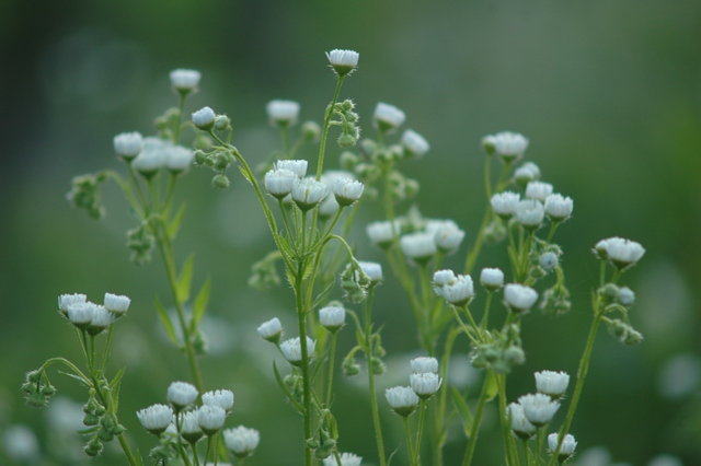 attachment.php?attachmentid=194231&d=1339749755