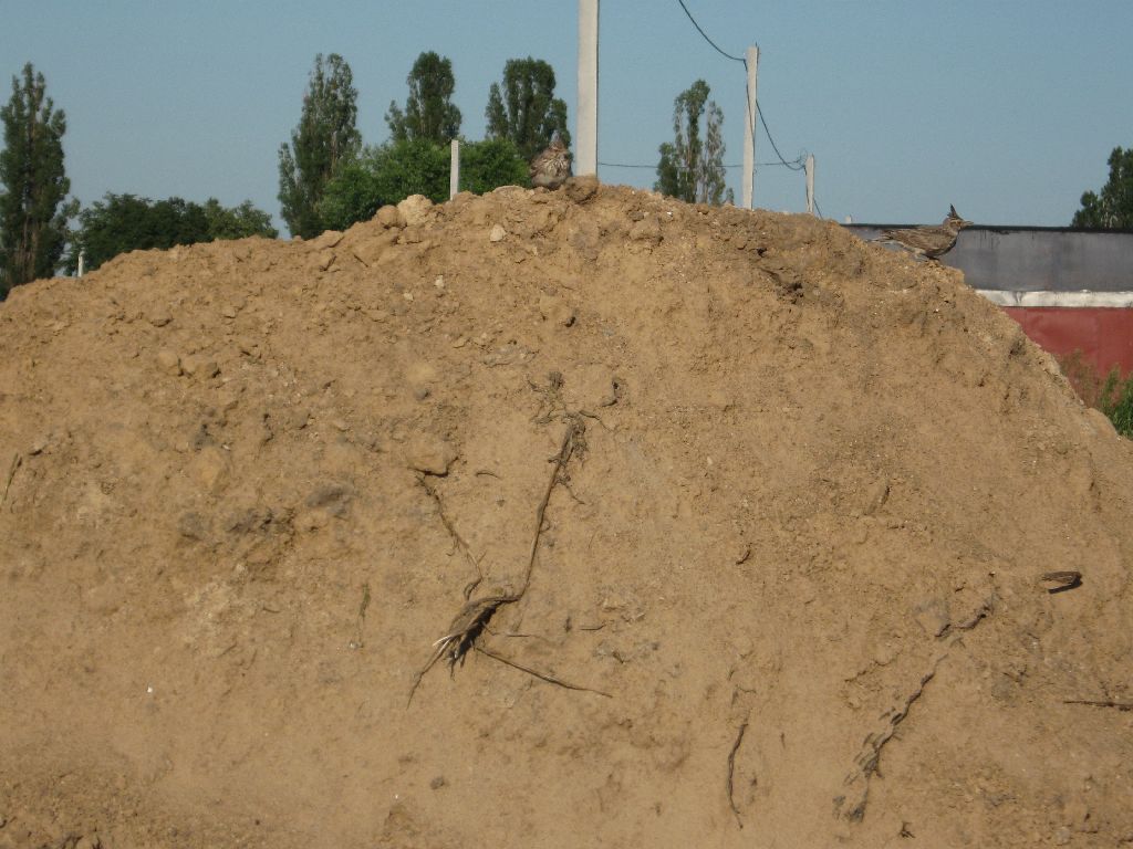 attachment.php?attachmentid=194784&d=1339996184