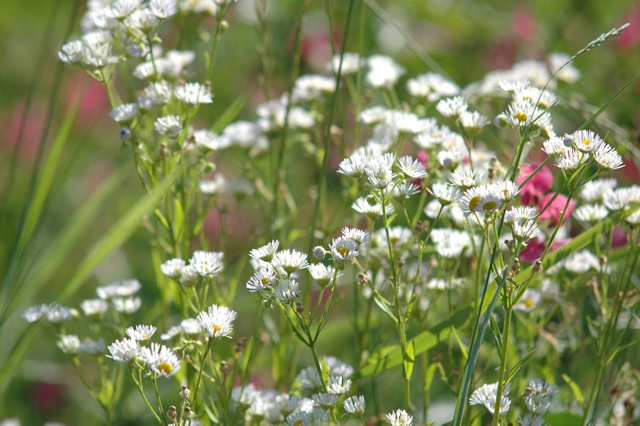 attachment.php?attachmentid=198639&d=1341397399