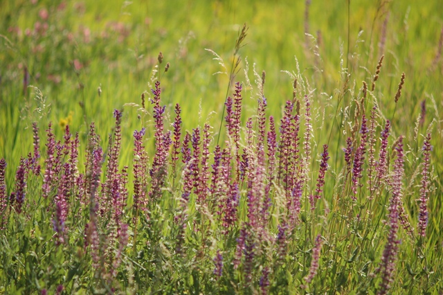 attachment.php?attachmentid=198644&d=1341397472