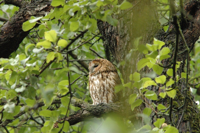 attachment.php?attachmentid=198655&d=1341399002