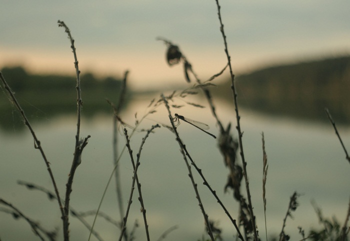 attachment.php?attachmentid=200069&stc=1&d=1341915791