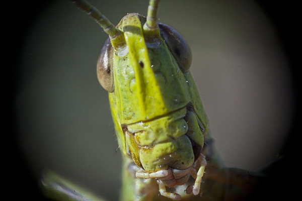 attachment.php?attachmentid=200072&stc=1&d=1341915833