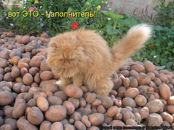 attachment.php?attachmentid=212626&stc=1&d=1346944124