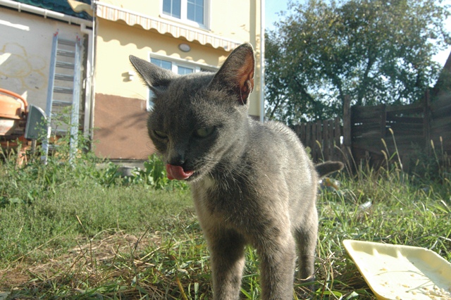 attachment.php?attachmentid=212913&d=1347040839