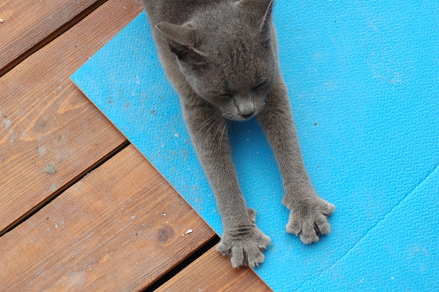 attachment.php?attachmentid=212915&d=1347040902