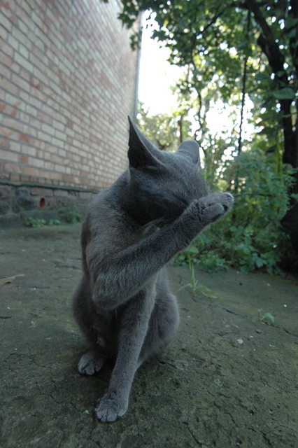 attachment.php?attachmentid=212933&d=1347041512