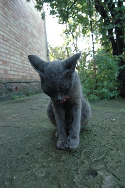 attachment.php?attachmentid=212934&d=1347041543