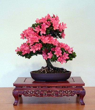 attachment.php?attachmentid=214020&stc=1&d=1347448586