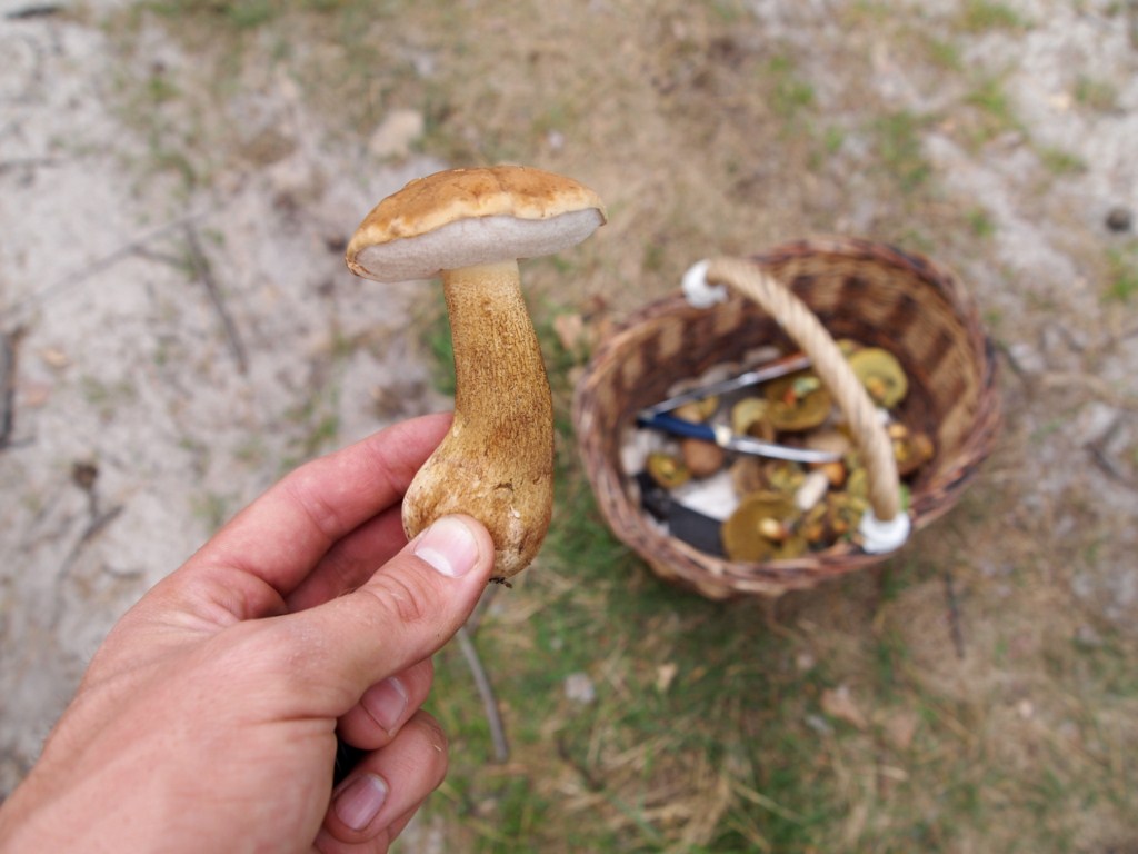 attachment.php?attachmentid=214937&stc=1&d=1347831912