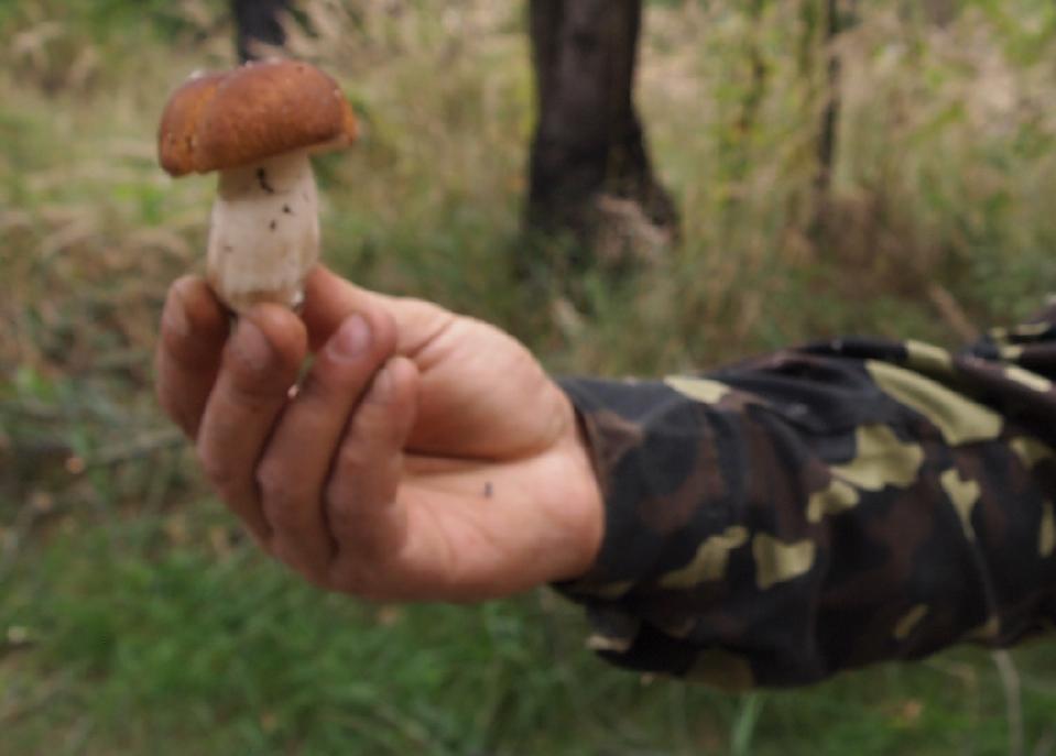 attachment.php?attachmentid=214991&stc=1&d=1347878609