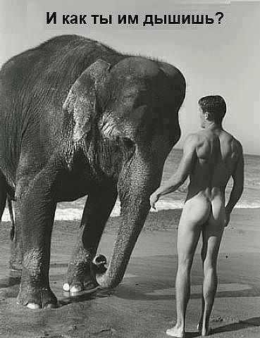 attachment.php?attachmentid=218905&stc=1&d=1349430216