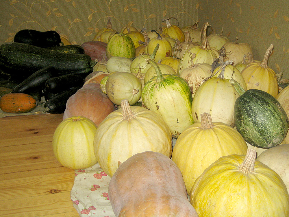 attachment.php?attachmentid=220661&d=1350028708